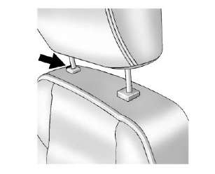 Head Restraints